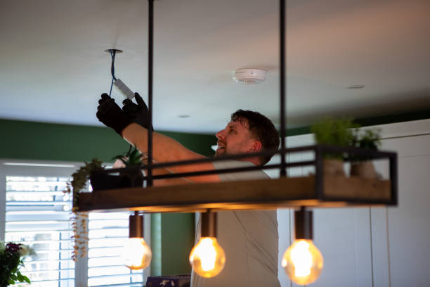 Best Outdoor Lighting Installation  in Tremont, IL