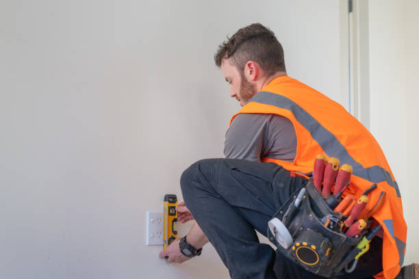 Best Generator Installation Services  in Tremont, IL