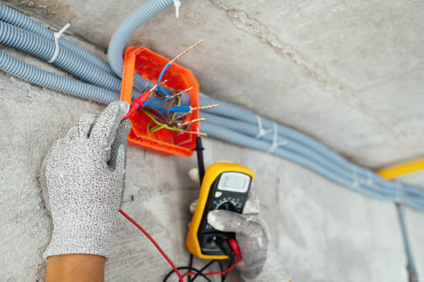 Best Electrical System Inspection  in Tremont, IL